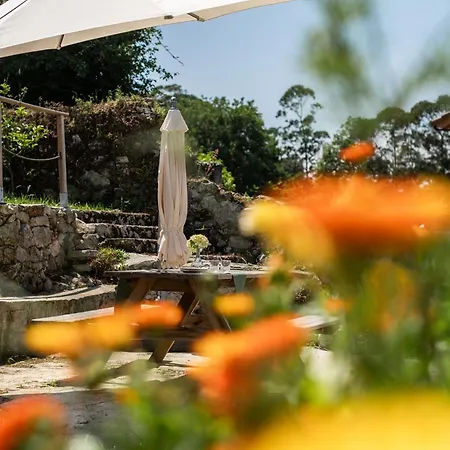 Gestiona2R - Casa En Llanes 3 Dormitorios 6 Huespedes Cerca De Playas Ferienhaus